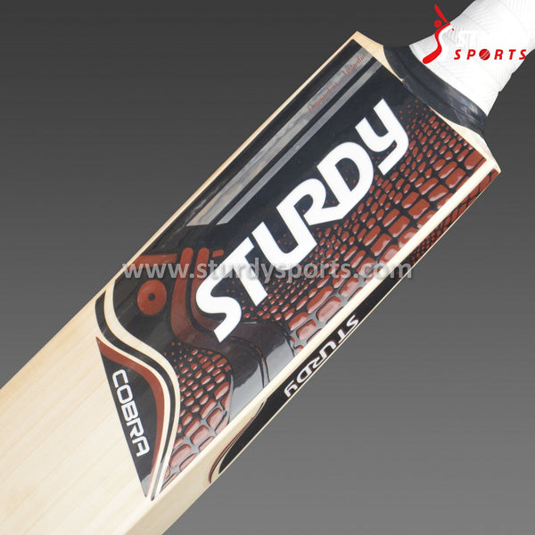 Sturdy Cobra English Double Willow Cricket Bat - Senior - English Willow - Mens (SH) - Sturdy - Sturdy Sports