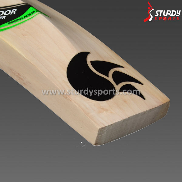 DSC Condor Glider Cricket Bat - Senior - English Willow - Mens (SH) - DSC - Sturdy Sports