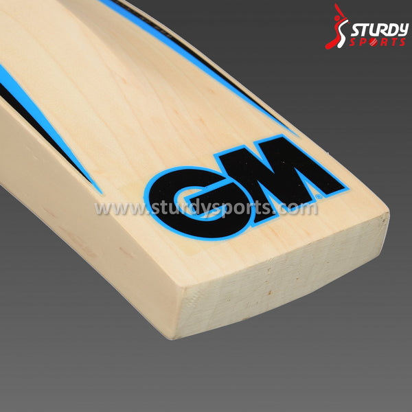 GM Neon 909 Cricket Bat - Size 3 - English Willow - Youth / Boys - GM - Sturdy Sports