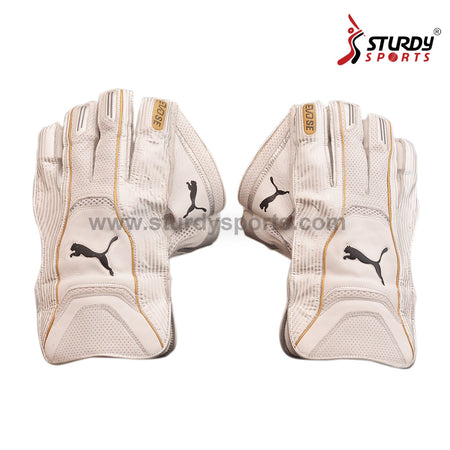 Puma Evo SE White Keeping Gloves - Mens - Keeping Gloves - Mens - PUMA - Sturdy Sports