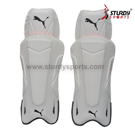 Puma Evospeed 2 Keeping Pads - Mens - Keeping Pads - Mens - PUMA - Sturdy Sports