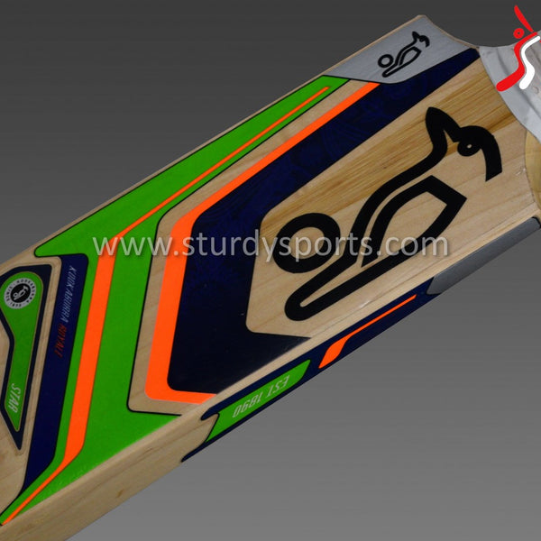 Kookaburra Royale Star Cricket Bat - Small Men - English Willow - Youth / Boys - Kookaburra - Sturdy Sports