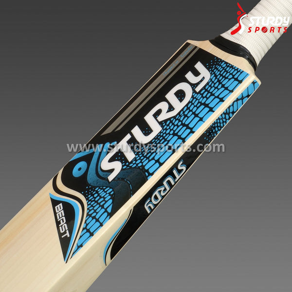 Sturdy Beast Cricket Bat - Senior - English Willow - Mens (SH) - Sturdy - Sturdy Sports