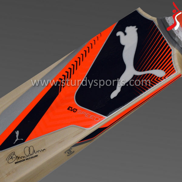 Puma Evospeed Cricket Bat - Size 5 - English Willow - Youth / Boys - PUMA - Sturdy Sports