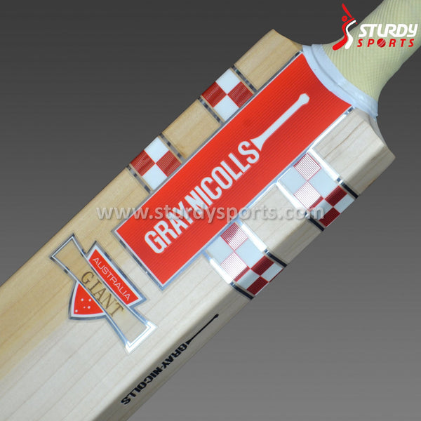 Gray Nicolls Giant Cricket Bat - Senior - English Willow - Mens (SH) - Gray Nicolls - Sturdy Sports