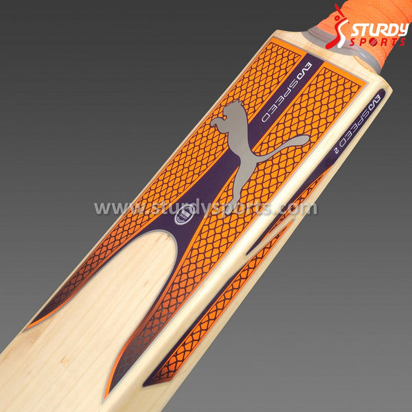 Puma Evospeed 2 Cricket Bat - Senior - English Willow - Mens (SH) - PUMA - Sturdy Sports