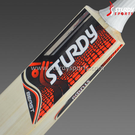 Sturdy Big Beast Training Bat (SH) - Training - Sturdy - Sturdy Sports