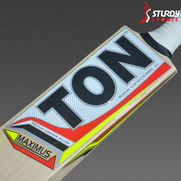 TON Maximus Kashmir Willow Bat (Size 6) - Kashmiri Willow - Youth / Boys - TON - Sturdy Sports