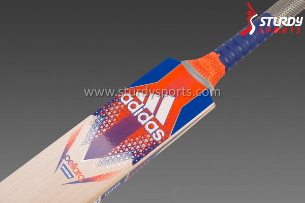 Adidas Pellara Maximum Cricket Bat - Senior - English Willow - Mens (SH) - Adidas - Sturdy Sports