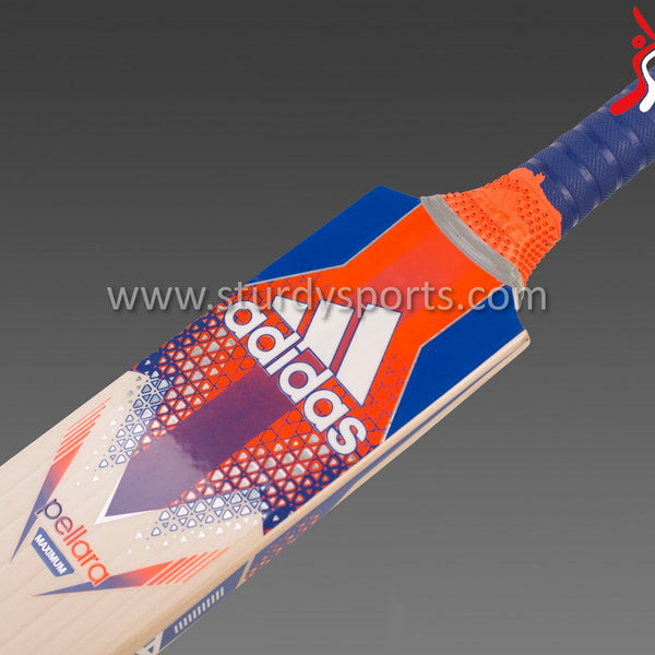 Adidas Pellara Maximum Cricket Bat - Senior - English Willow - Mens (SH) - Adidas - Sturdy Sports