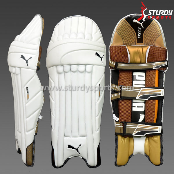 Puma Evo SE Batting Pads - Mens - Batting Pads - Mens - PUMA - Sturdy Sports