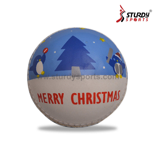 Sturdy Signature Balls - Memorabilia - Sturdy - Sturdy Sports