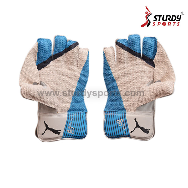 Puma Evo 1 Hextech Keeping Gloves - Mens - Keeping Gloves - Mens - PUMA - Sturdy Sports