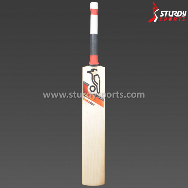 Kookaburra Blaze Pro 1500 Cricket Bat - Senior - English Willow - Mens (SH) - Kookaburra - Sturdy Sports