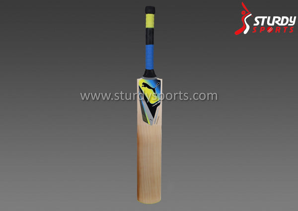 Puma Pulse 2000 Cricket Bat - Size 5 - English Willow - Youth / Boys - PUMA - Sturdy Sports