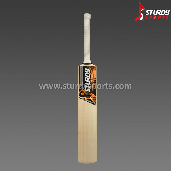 Sturdy Cheetah Cricket Bat - Senior - English Willow - Mens (SH) - Sturdy - Sturdy Sports