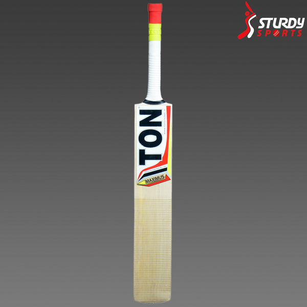 TON Maximus Kashmir Willow Bat (Size 6) - Kashmiri Willow - Youth / Boys - TON - Sturdy Sports