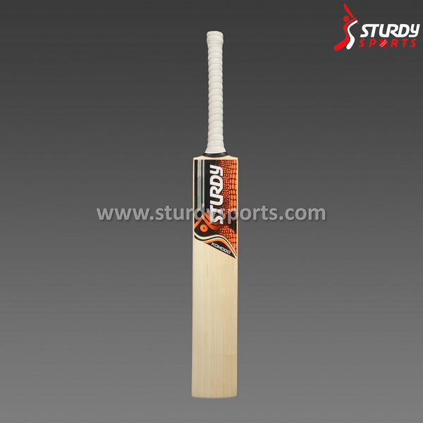 Sturdy Komodo Cricket Bat - Senior - English Willow - Mens (SH) - Sturdy - Sturdy Sports