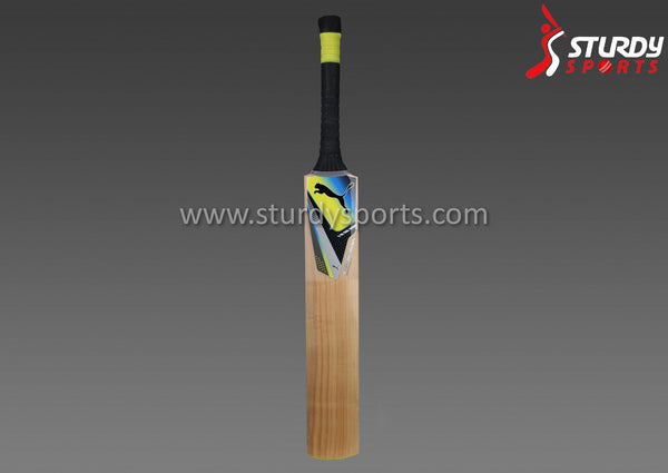 Puma Pulse GT Cricket Bat - Harrow - English Willow - Youth / Boys - PUMA - Sturdy Sports