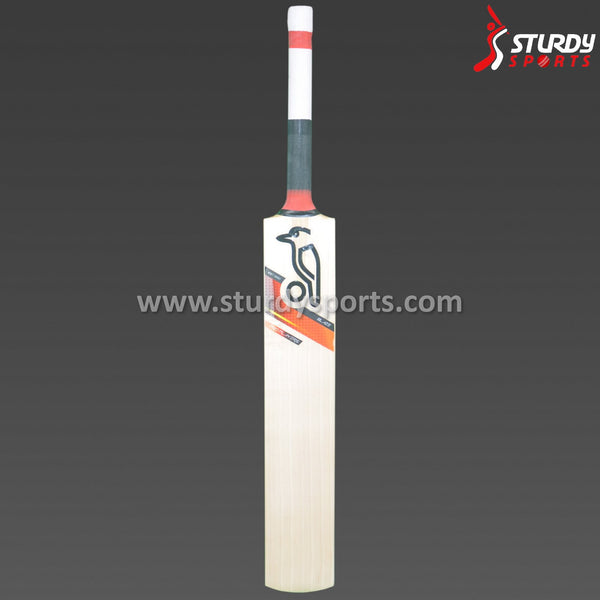 Kookaburra Blaze Pro Player Cricket Bat - Senior - English Willow - Mens (SH) - Kookaburra - Sturdy Sports