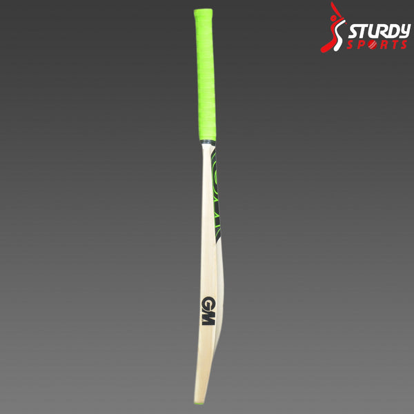 GM Paragon 202 Kashmir Willow Bat (Size 4) - Kashmiri Willow - Youth / Boys - GM - Sturdy Sports