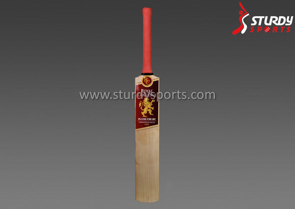 Royal Challenge Gold Cricket Bat - Senior - English Willow - Mens (SH) - Royal Challenge - Sturdy Sports