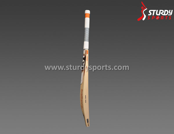 SG King Cobra Cricket Bat - Senior - English Willow - Mens (SH) - SG - Sturdy Sports