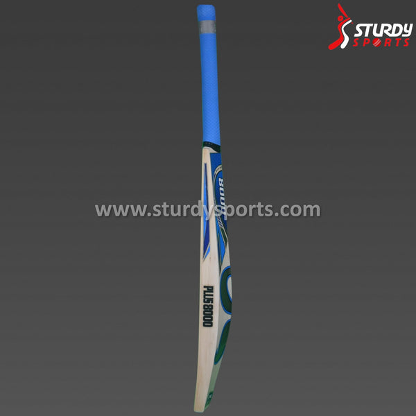 CA Plus 8000 Cricket Bat - Senior - English Willow - Mens (SH) - CA - Sturdy Sports