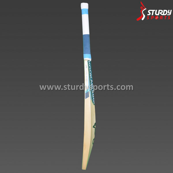 Kookaburra Surge Pro Player Cricket Bat - Small Men - English Willow - Youth / Boys - Kookaburra - Sturdy Sports