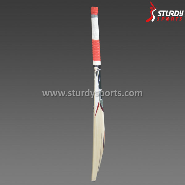 SF Blade Patriot Cricket Bat - Senior - English Willow - Mens (SH) - SF - Sturdy Sports