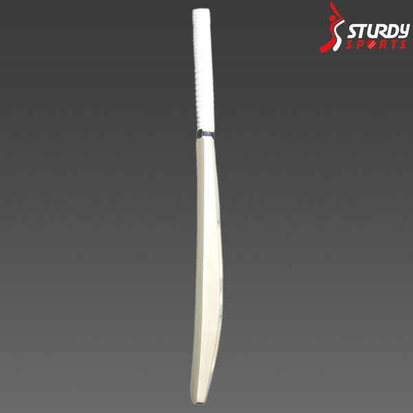 Plain Adult bat for Autograph (SH) - Autograph Set - Sturdy - Sturdy Sports