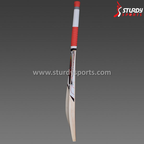 SF Glitz LE Cricket Bat - Senior - English Willow - Mens (SH) - SF - Sturdy Sports