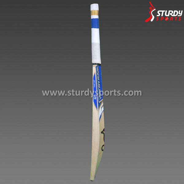 Kookaburra Dynasty Pro 1200 Cricket Bat - Senior - English Willow - Mens (SH) - Kookaburra - Sturdy Sports