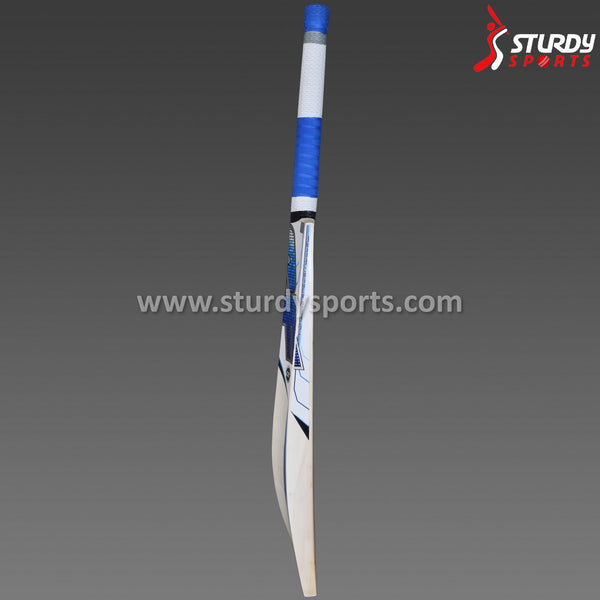 SF Triumph Dynasty Cricket Bat - Senior - English Willow - Mens (SH) - SF - Sturdy Sports