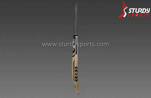 SG Nexus Xtreme Cricket Bat - Senior - English Willow - Mens (SH) - SG - Sturdy Sports