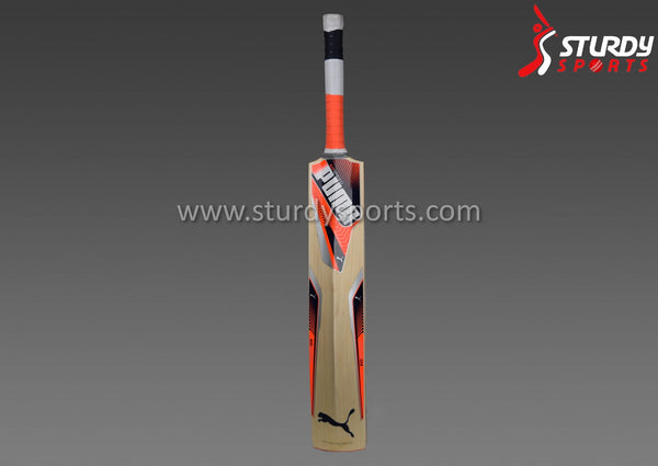 Puma Evospeed Cricket Bat - Size 5 - English Willow - Youth / Boys - PUMA - Sturdy Sports