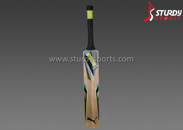 Puma Pulse GT Cricket Bat - Harrow - English Willow - Youth / Boys - PUMA - Sturdy Sports