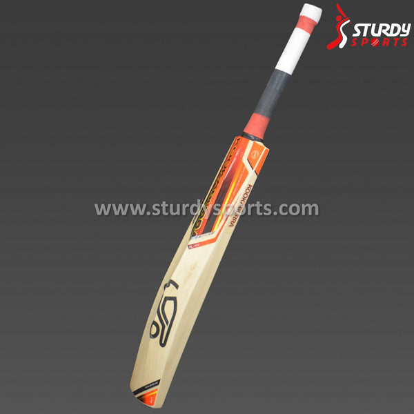 Kookaburra Blaze Pro 1500 Cricket Bat - Senior - English Willow - Mens (SH) - Kookaburra - Sturdy Sports