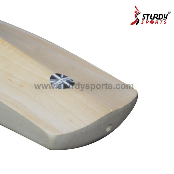 Salix Select Cricket Bat - Senior - English Willow - Mens (SH) - Salix - Sturdy Sports