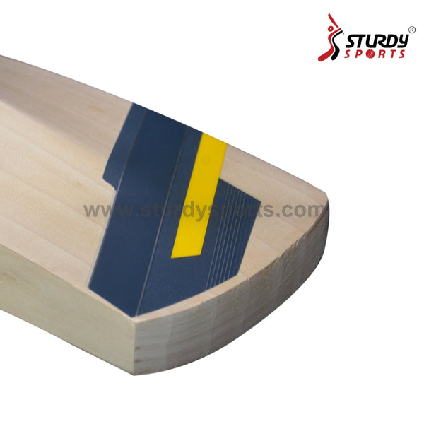 Ton Masuri C Line Cricket Bat - Senior - English Willow - Mens (SH) - TON MASURI - Sturdy Sports