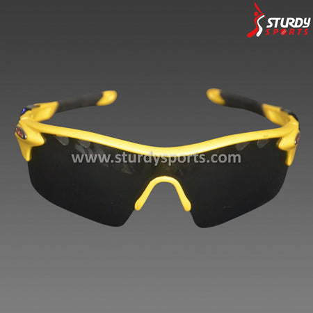 SASA Evolution Sunglasses (Gold Frame / Black Lens) - Sunglasses - SASA - Sturdy Sports