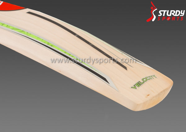 Gray Nicolls Velocity XL 2000 Cricket Bat - Senior LB/LH - English Willow - Mens (LB/LH) - Gray Nicolls - Sturdy Sports