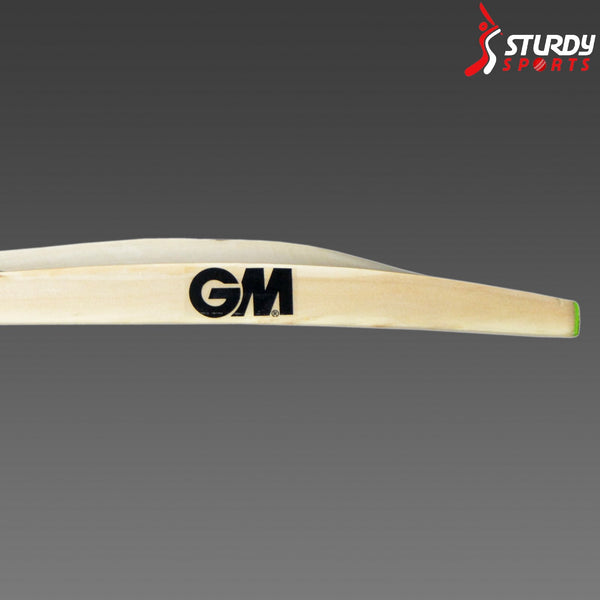 GM Paragon Striker Kashmir Willow Bat (Size3) - Kashmiri Willow - Youth / Boys - GM - Sturdy Sports