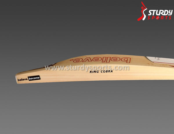 SG King Cobra Cricket Bat - Senior - English Willow - Mens (SH) - SG - Sturdy Sports