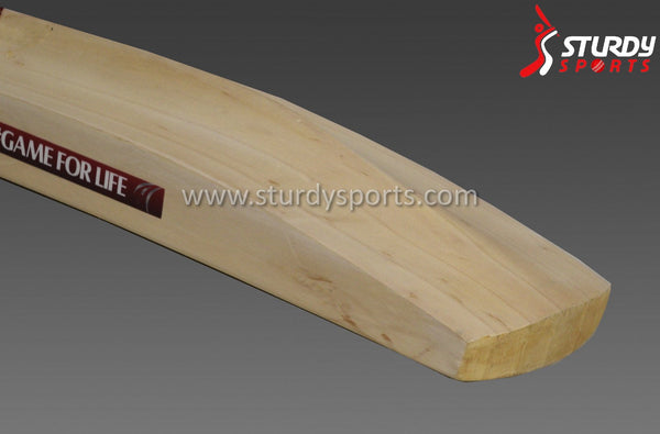 Royal Challenge Silver Cricket Bat - Senior - English Willow - Mens (SH) - Royal Challenge - Sturdy Sports