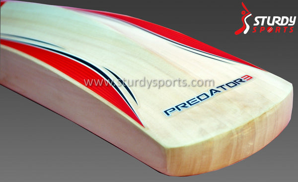 Gray Nicolls Predator GN8 Cricket Bat - Senior - English Willow - Mens (SH) - Gray Nicolls - Sturdy Sports