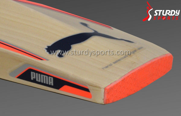 Puma Evospeed Cricket Bat - Size 5 - English Willow - Youth / Boys - PUMA - Sturdy Sports