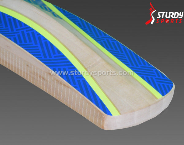 Gray Nicolls Omega XRD GN3 Cricket Bat - Senior - English Willow - Mens (SH) - Gray Nicolls - Sturdy Sports