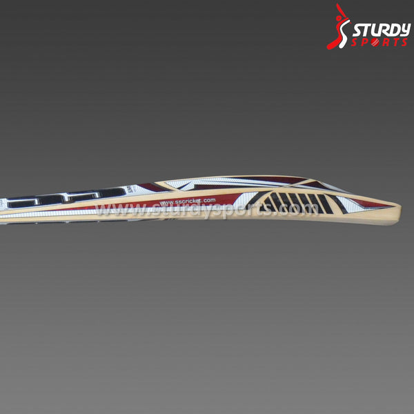 SS Master Cricket Bat - Senior - English Willow - Mens (SH) - SS - Sturdy Sports