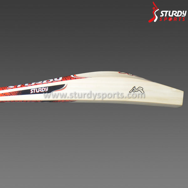 Sturdy Big Beast Training Bat (SH) - Training - Sturdy - Sturdy Sports